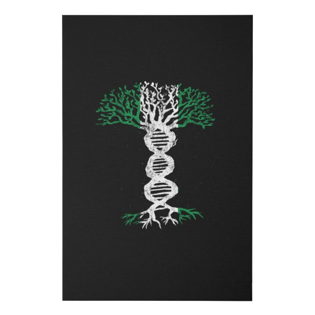 Nigeria Nigerian Flag Gift For Nigerians Faux Canvas Print (Front)