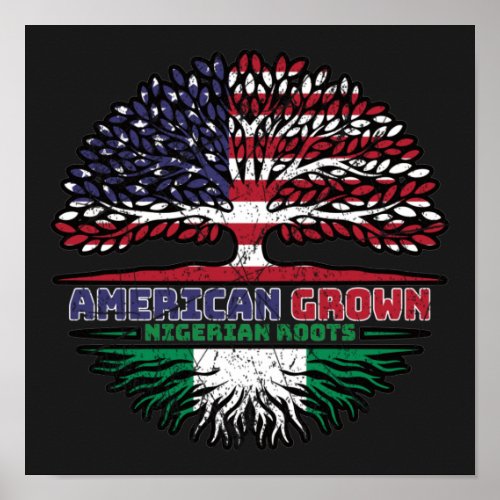 Nigeria Nigerian US American USA United States Poster