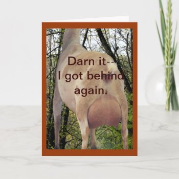 Nigerian Doe Belated Birthday Card Or Any Occasion by MakaraPhotos at Zazzle