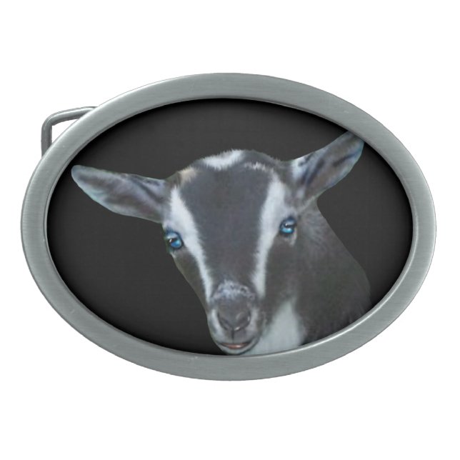 Nigerian Dwarf  Dairy Goat Belt Buckle (Front)