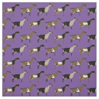 Nigerian Dwarf Dairy Goats on Purple