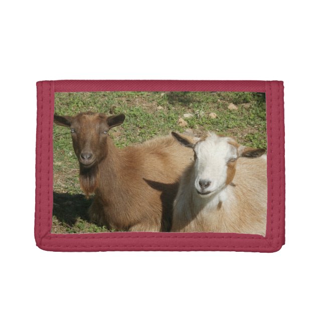 Nigerian Dwarf Dairy Goats Trifold Wallet (Front)