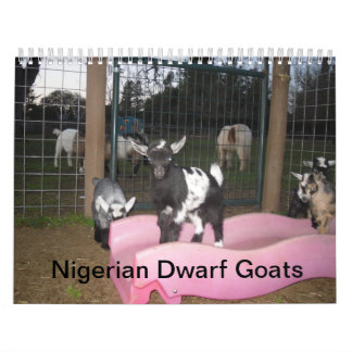 nigerian dwarf goat calender calendar