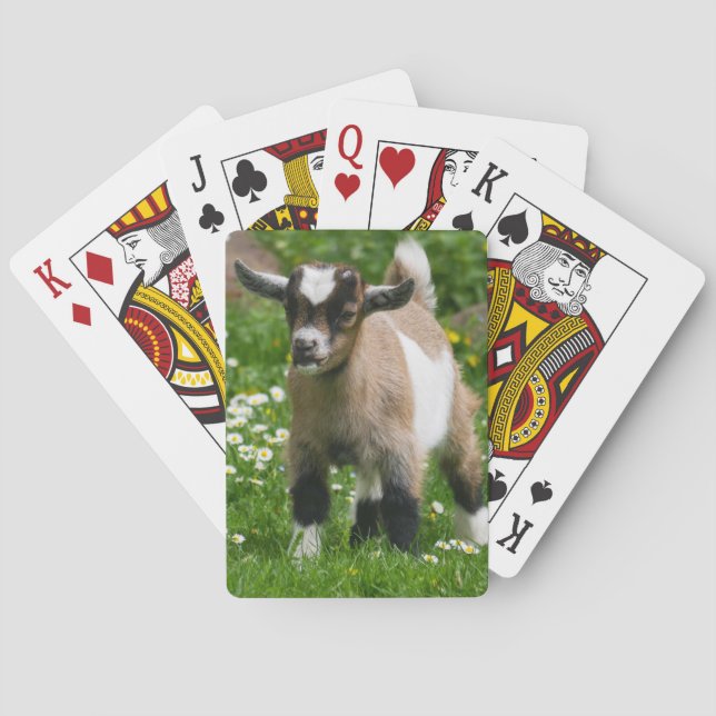 Nigerian Dwarf Goat Kid Poker Cards (Back)