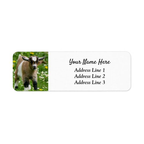 Nigerian Dwarf Goat Kid Return Address Label