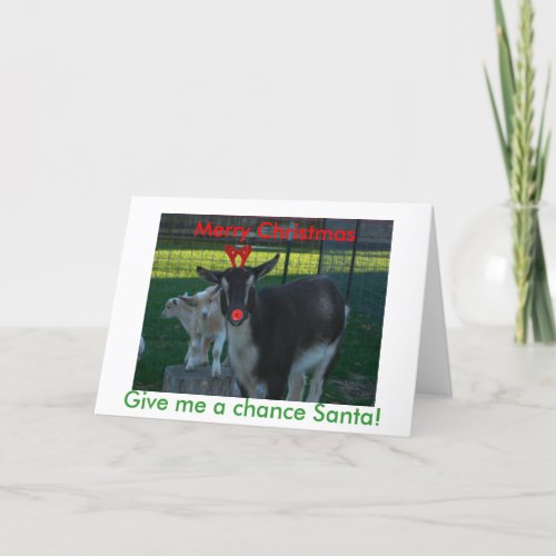 Nigerian Goat Christmas Card