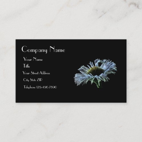 Night Aster Business Card