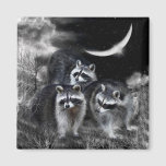 Night Bandits Art Magnet