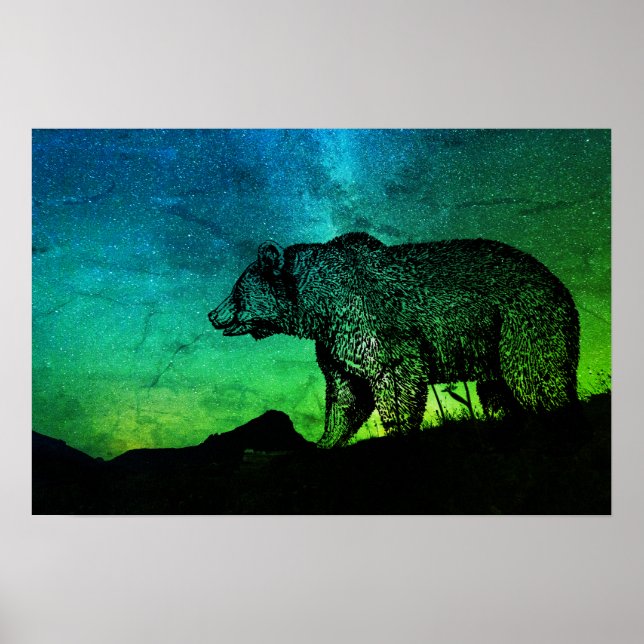 Night Bear And Aurora Borealis Poster (Front)