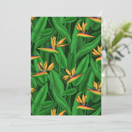 Night bird of paradise garden (Standing Front)