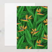 Night bird of paradise garden (Front/Back)