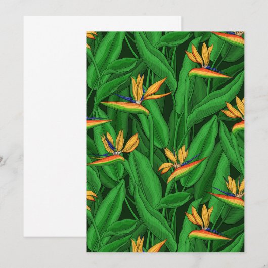 Night bird of paradise garden (Front/Back)