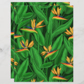 Night bird of paradise garden (Front/Back)