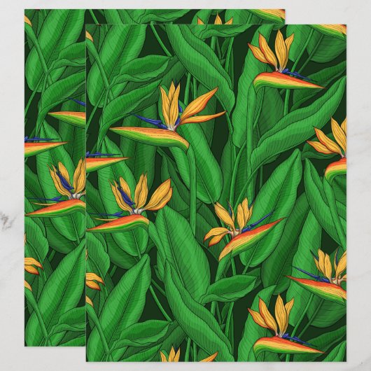 Night bird of paradise garden (Front/Back)