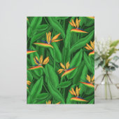 Night bird of paradise garden (Standing Front)