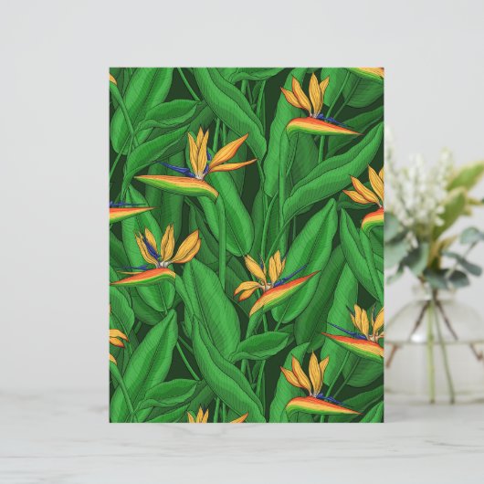 Night bird of paradise garden (Standing Front)