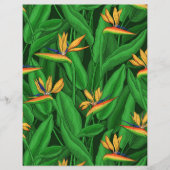 Night bird of paradise garden (Front)