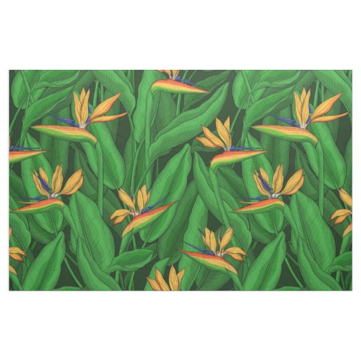 Night bird of paradise garden fabric