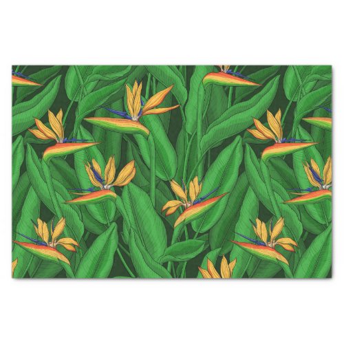 Night bird of paradise garden tissue paper