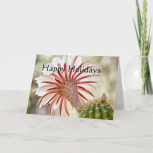 Night blooming cactus flower, happy holidays holiday card