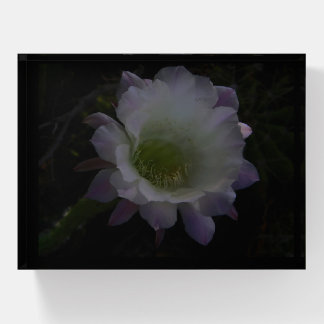 Night blooming cactus flower paperweight