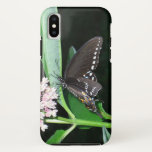 Night Butterfly Black Swallowtail at Shenandoah iPhone XS Case