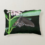 Night Butterfly Black Swallowtail at Shenandoah Decorative Pillow