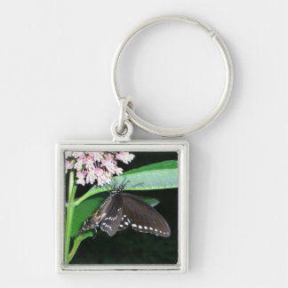 Night Butterfly Black Swallowtail at Shenandoah Keychain