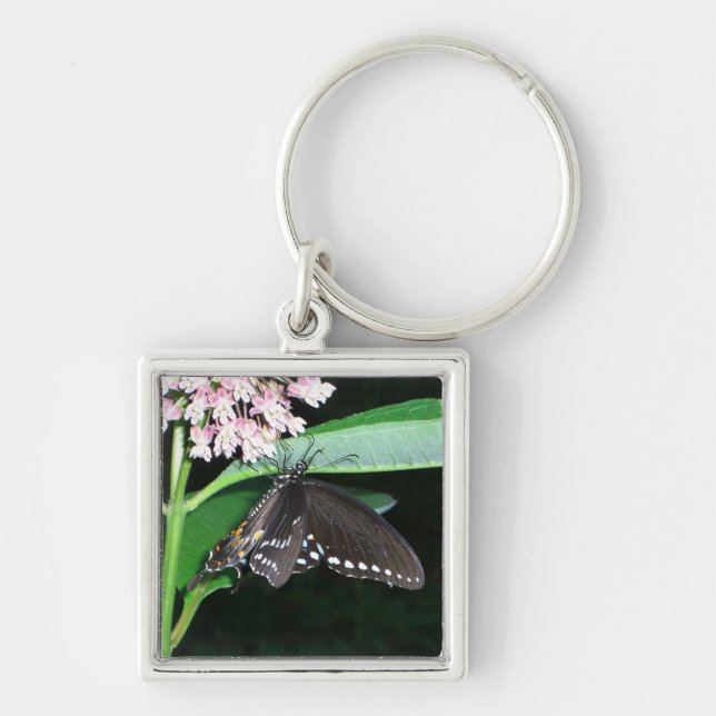 Night Butterfly Black Swallowtail at Shenandoah Keychain (Front)