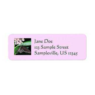 Night Butterfly Black Swallowtail at Shenandoah Label