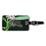 Night Butterfly Black Swallowtail at Shenandoah Luggage Tag