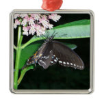 Night Butterfly Black Swallowtail at Shenandoah Metal Ornament