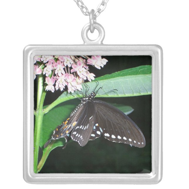 Night Butterfly Black Swallowtail at Shenandoah Silver Plated Necklace (Front)