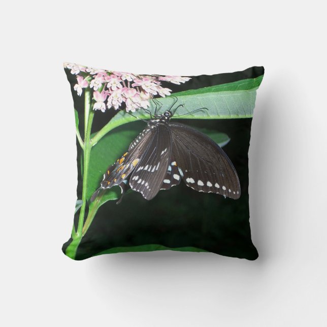 Night Butterfly Black Swallowtail at Shenandoah Throw Pillow (Front)