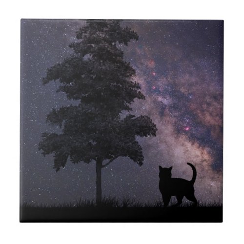 Night Cat Ceramic Tile