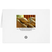 Night Dunes, Stone Harbor Cards (Back Horizontal)