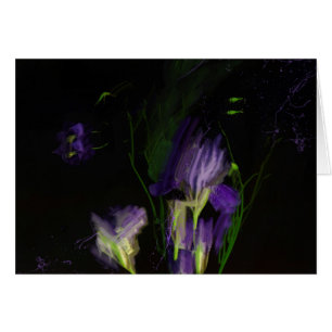 Night expression Card