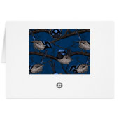 Night fairy wrens (Back Horizontal)