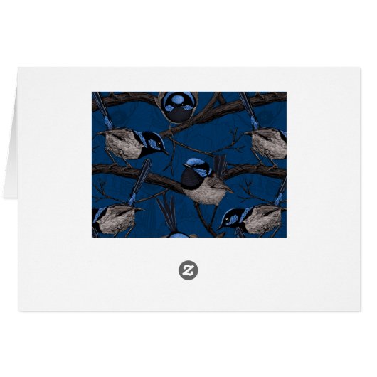 Night fairy wrens (Back Horizontal)