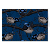 Night fairy wrens (Front Horizontal)