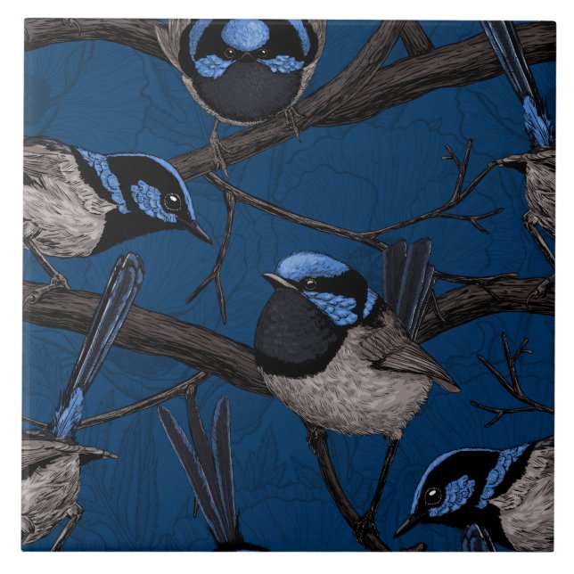 Night fairy wrens ceramic tile (Front)