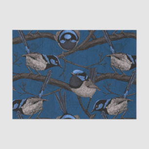 Night fairy wrens tissue paper