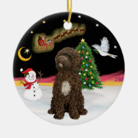 Night Flight -Brown Portuguese Water Dog