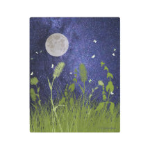 “Night Flight in White”