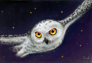 bird snowy owl laptop skins decals zazzle