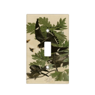 Night Hawk - John James Audubon's Birds of America Light Switch Cover