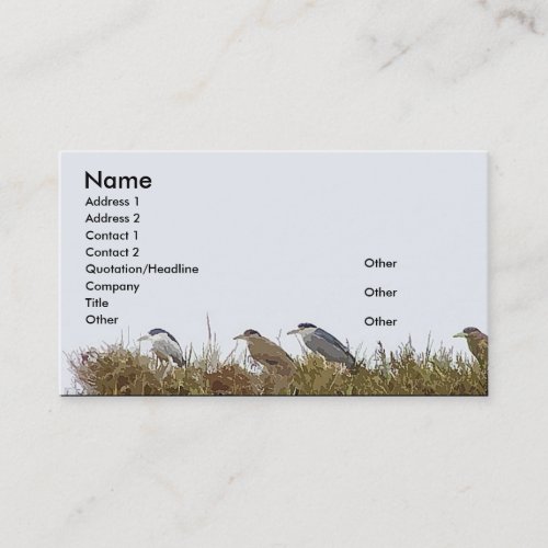 Night Heron Business Card