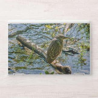Night Heron jv HP Laptop Skin