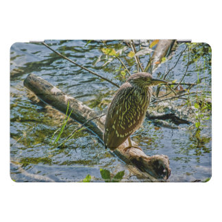 Night Heron jv iPad Pro Cover
