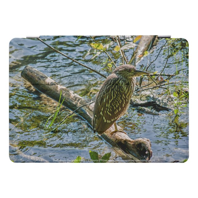 Night Heron jv iPad Pro Cover (Horizontal)